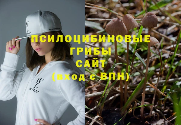 кокс Алзамай