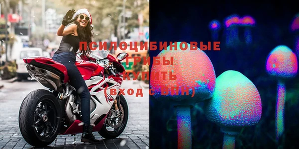 шишки Беслан