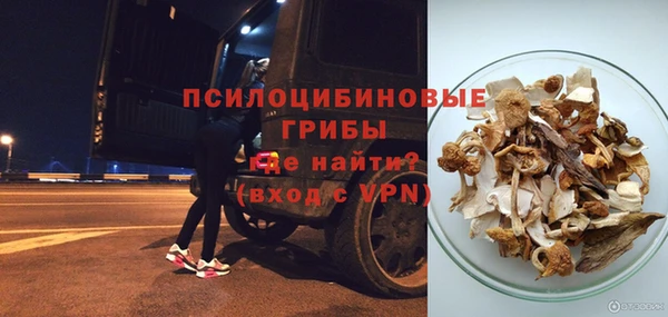 PSILOCYBIN Алексеевка